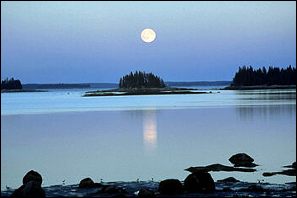 moon.jpg (9992 bytes)